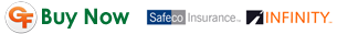 Buy Auto Insurance in Palm Harbor Florida