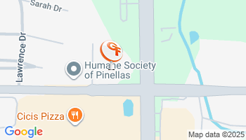 Safety Harbor, FL Auto Insurance Agency